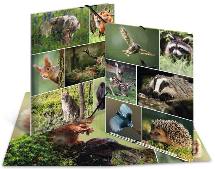 Herma Eckspannermappe , Waldtiere, , Karton, Din A3