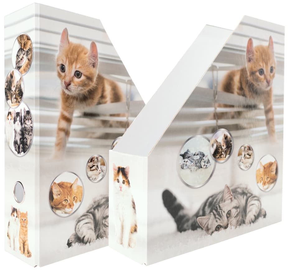 Herma Stehsammler , Katzen, , Din A4, Karton, (B)85 Mm