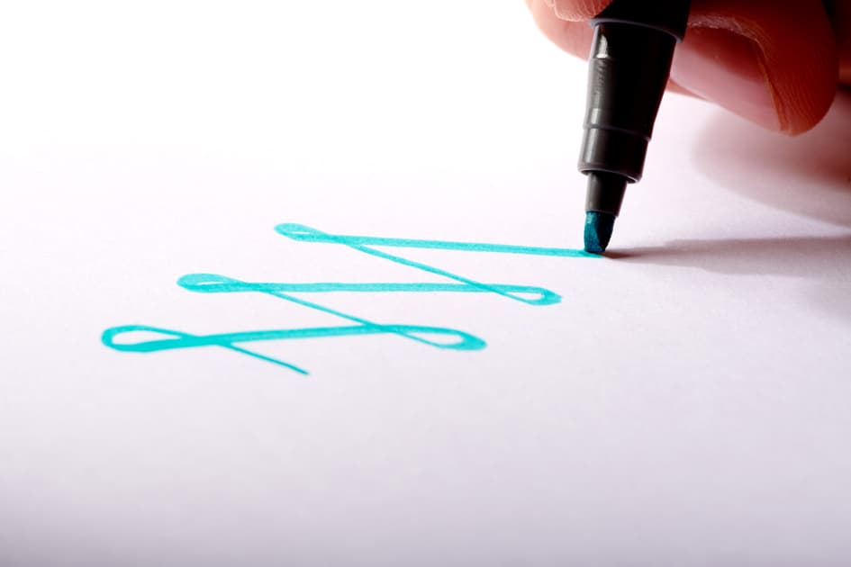 Staedtler Fasermaler Pigment Calligraphy Pen, 12er Etui