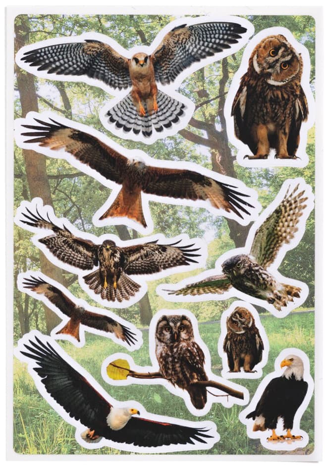 Herma Sticker Decor Greifvögel