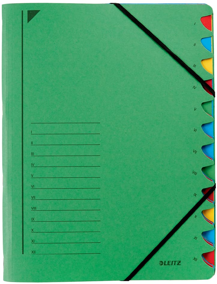 Leitz Ordnungsmappe, Din A4, Karton, 12 Fächer, Grün