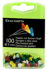 Exacompta Pinnwand-Nadeln, Weiß