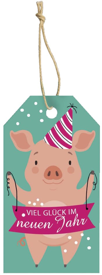 Cactus Neujahrs-Geschenkanhänger , Partyschwein,