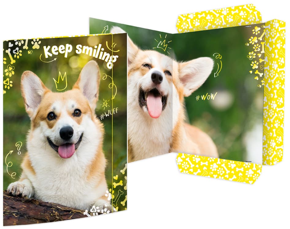 Rnk Verlag Zeichnungsmappe , Corgi, , Karton, Din A3