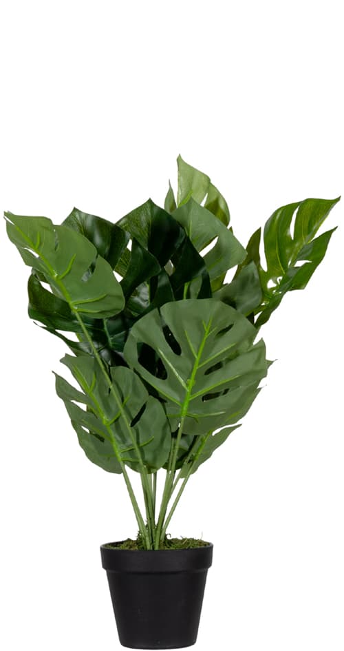 Paperflow Kunstpflanze , Monstera, , Höhe: 450 Mm