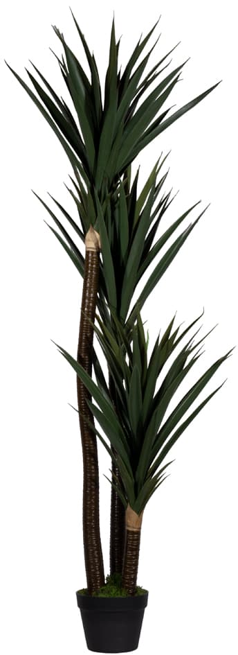 Paperflow Kunstpflanze , Yucca, , Höhe: 1.500 Mm