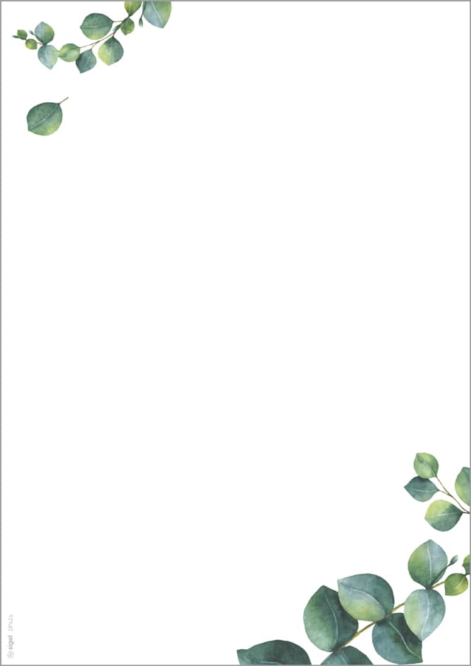 Sigel Design-Papier , Eucalyptus, , Din A4, 90 G/Qm