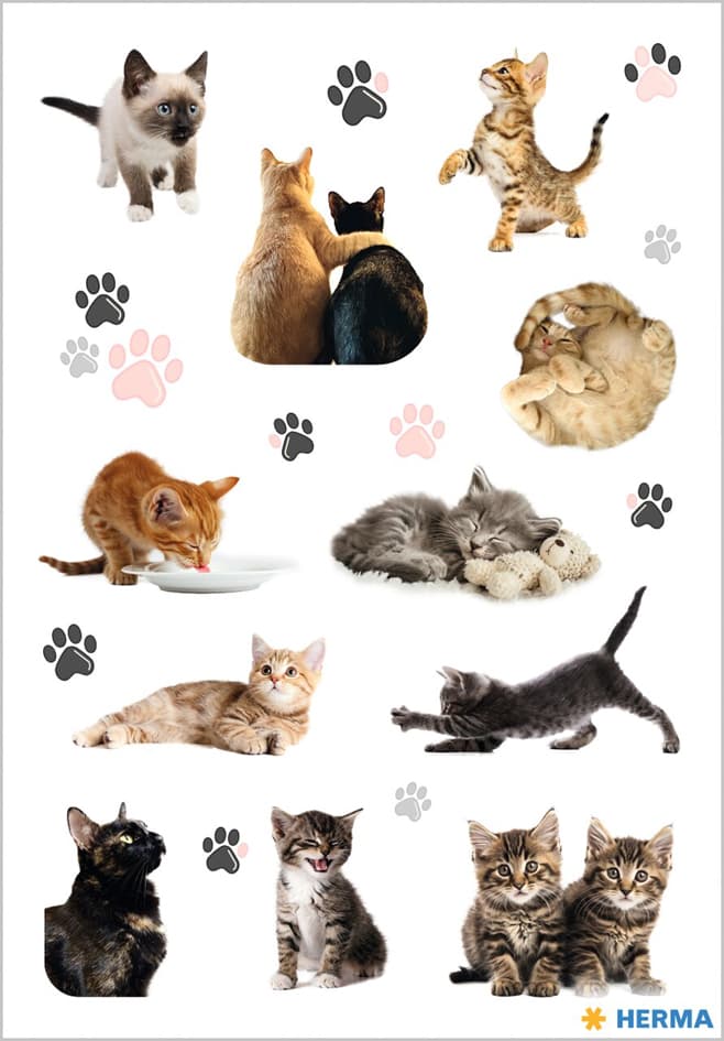Herma Sticker Decor Fröhliche Katzenkinder, Papier