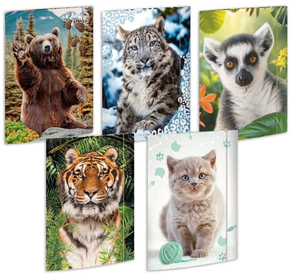 Rnk Verlag Zeichnungsmappe , Tiere, , Karton, A3 - Sortiment