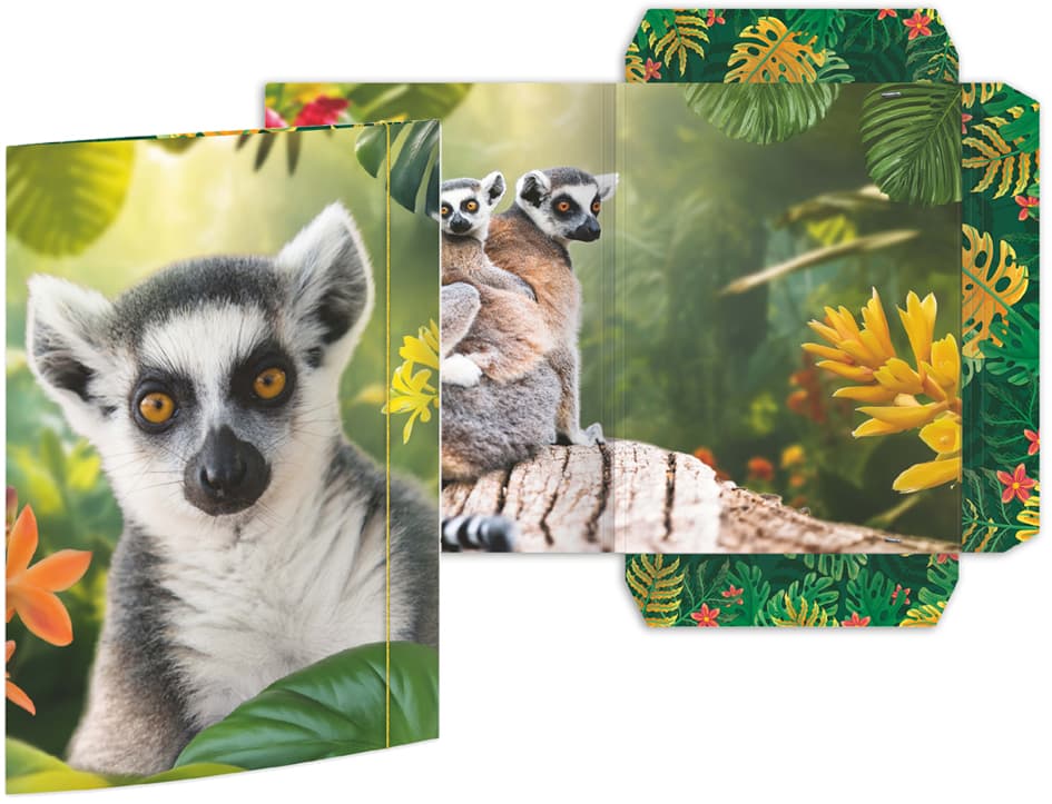 Rnk Verlag Zeichnungsmappe , Lemur, , Karton, Din A3