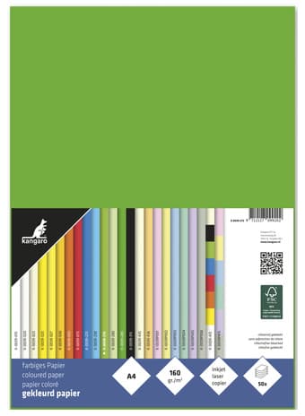 Kangaro Multifunktionspapier, Din A4, 160 G/Qm, Grün