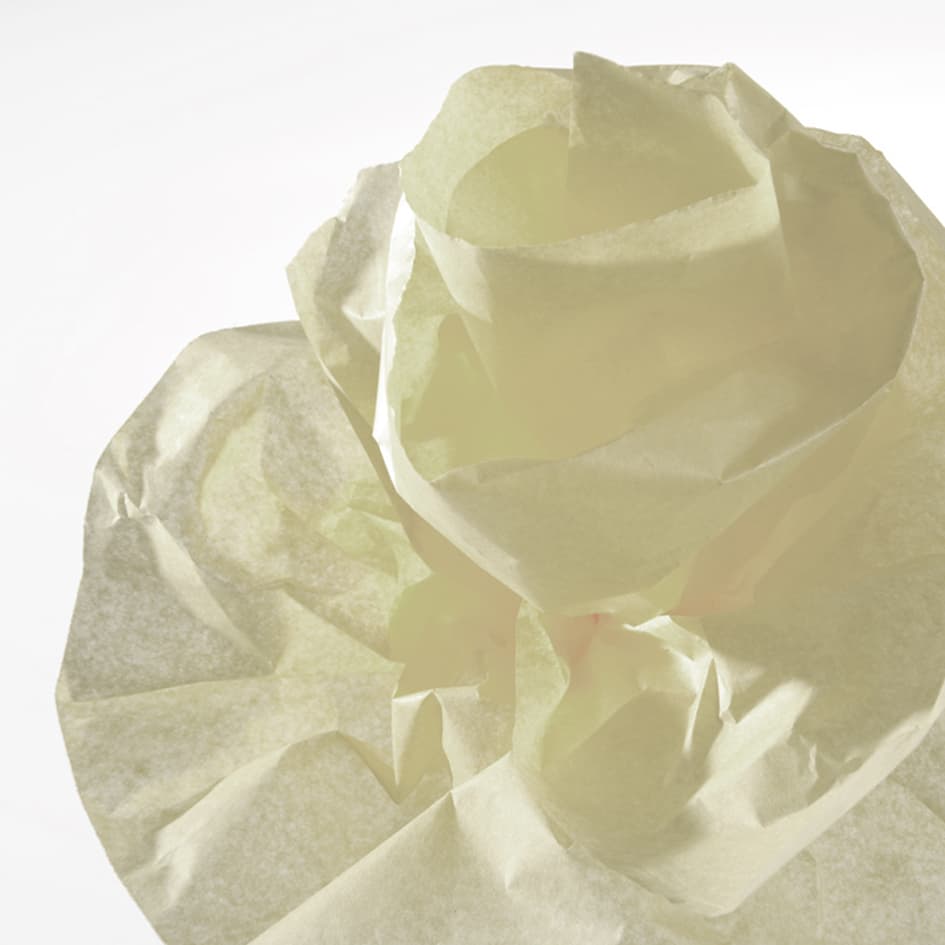 Canson Seidenpapier-Rolle, 0,5 X 5,0 M, 20 G/Qm, Beige