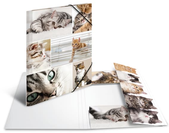 Herma Eckspannermappe , Katzen, , Aus Karton, Din A4