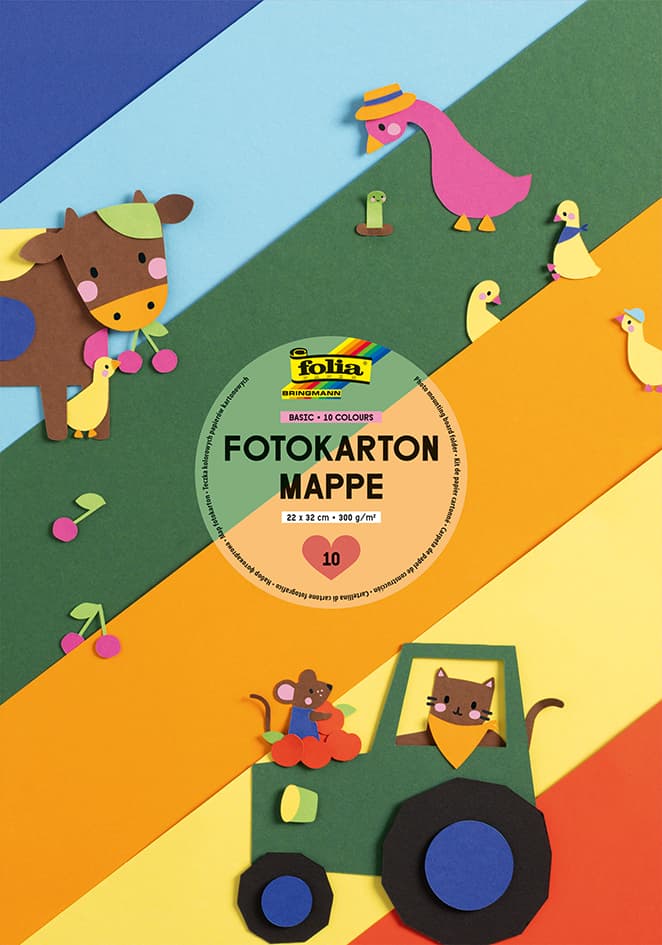 Folia Fotokartonmappe, 220 X 320 Mm, Farbig Sortiert
