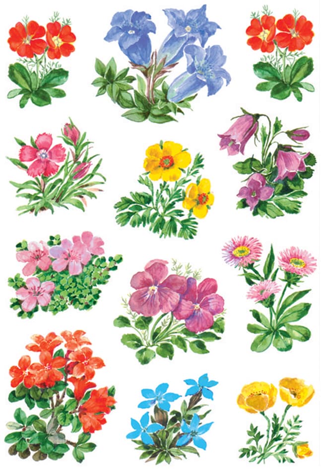 Herma Sticker Decor , Gebirgsblumen,