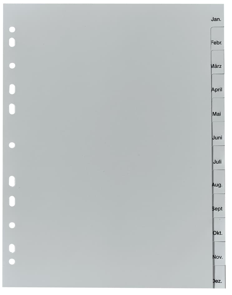 Herlitz Kunststoff-Register, Monate, A4, 12-Teilig
