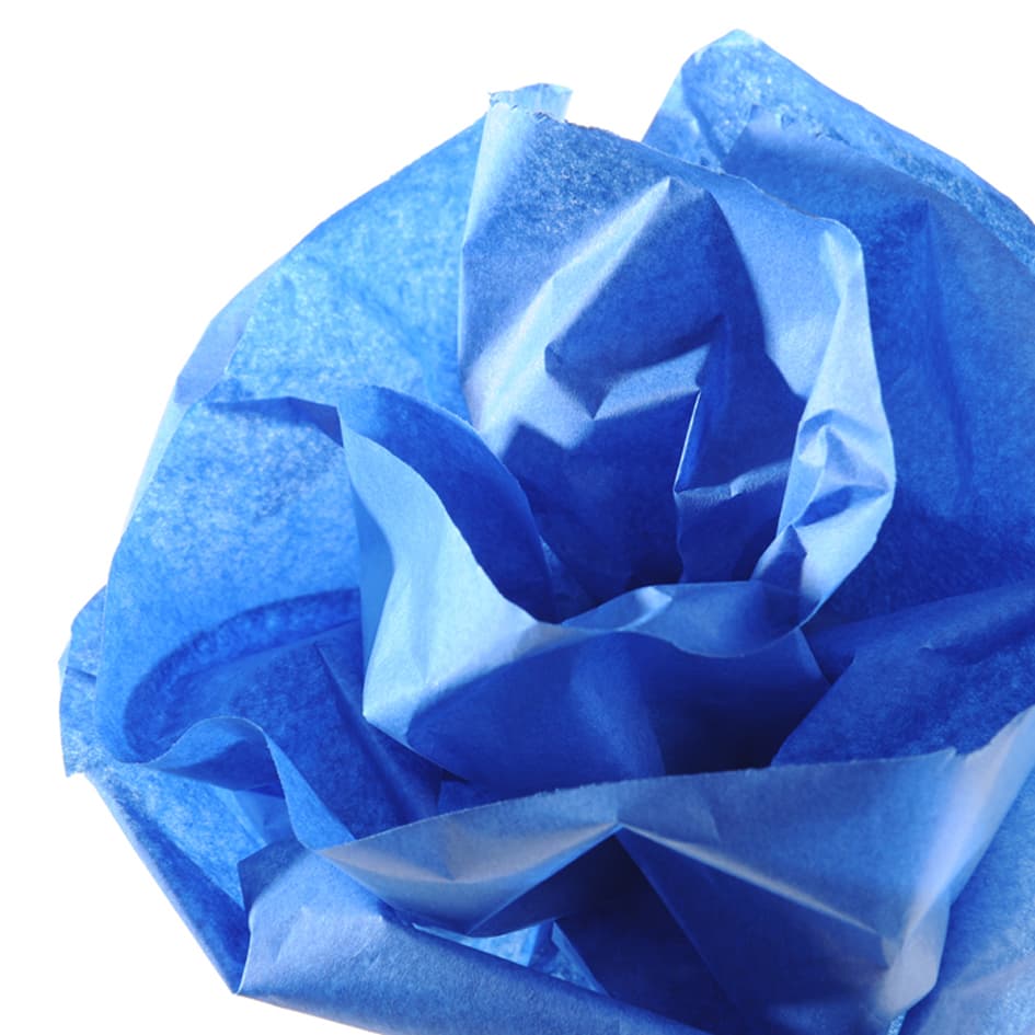 Canson Seidenpapier, Maße: 0,5 X 5,0 M, 20 G/Qm, Lasurblau