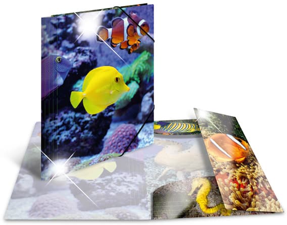 Herma Eckspannermappe , Fische, , Pp Glossy, Din A4