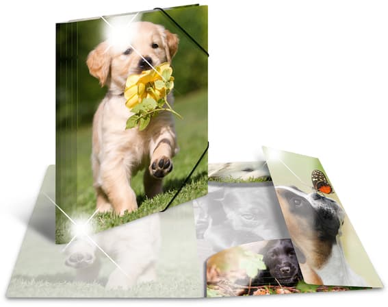 Herma Eckspannermappe , Hunde, , Pp Glossy, Din A4