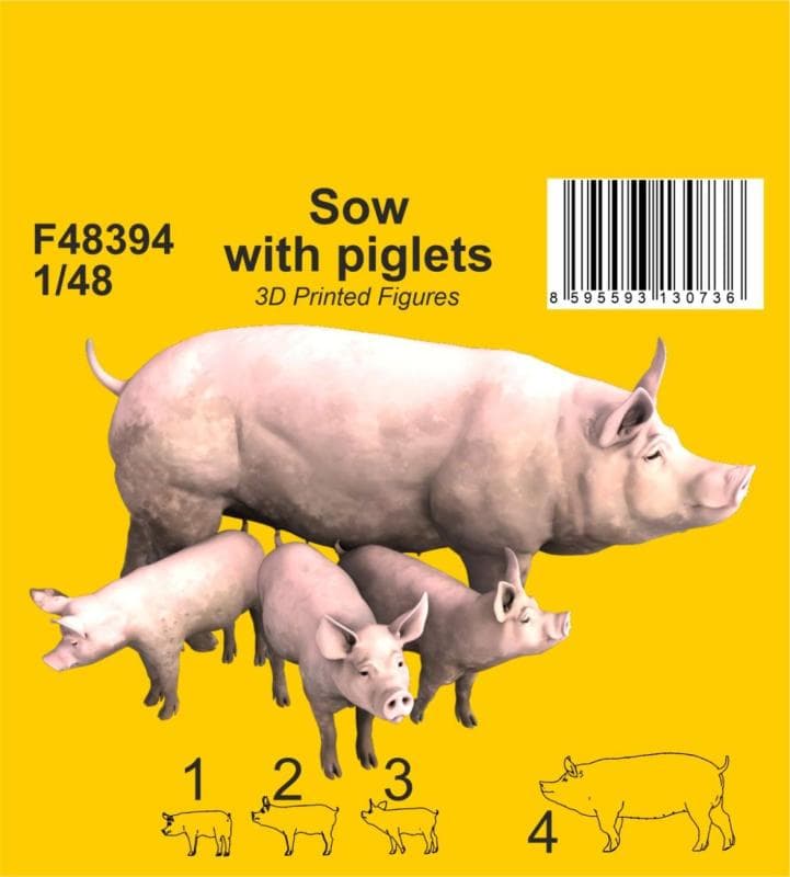 Sow With Piglets