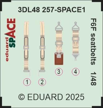 F6f - Seatbelts - Space