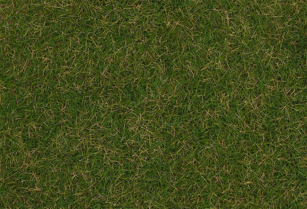 Grasfasern, Sommerwiese - 4 Mm - 80g