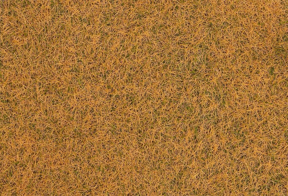 Grasfasern, Beige - 4 Mm - 80g