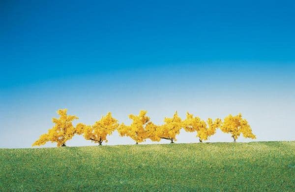 6 Forsythien, Gelb Blühend