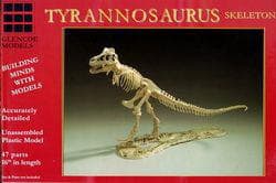 Tyrannosaurus Skelett