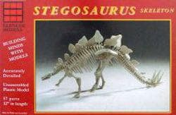 Stegosaurus Skelett