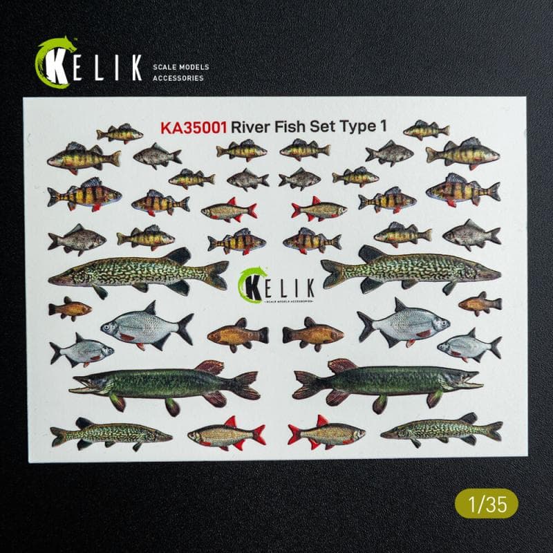 River Fish Set Type 1 - 3d-Decals For Dioramas