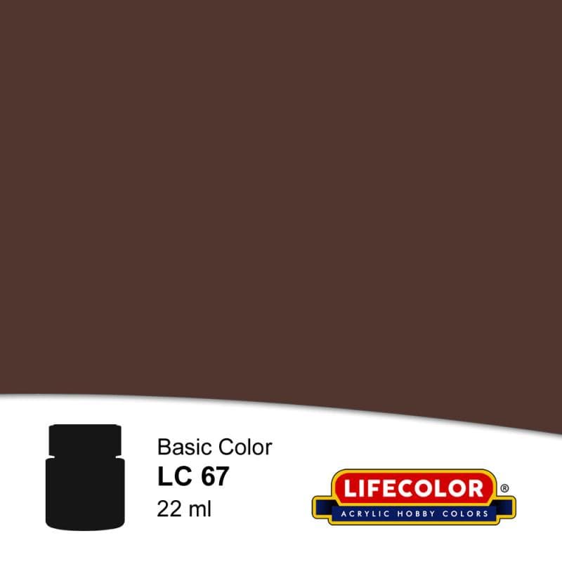 Gloss Brown 22 Ml