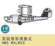 Walrus