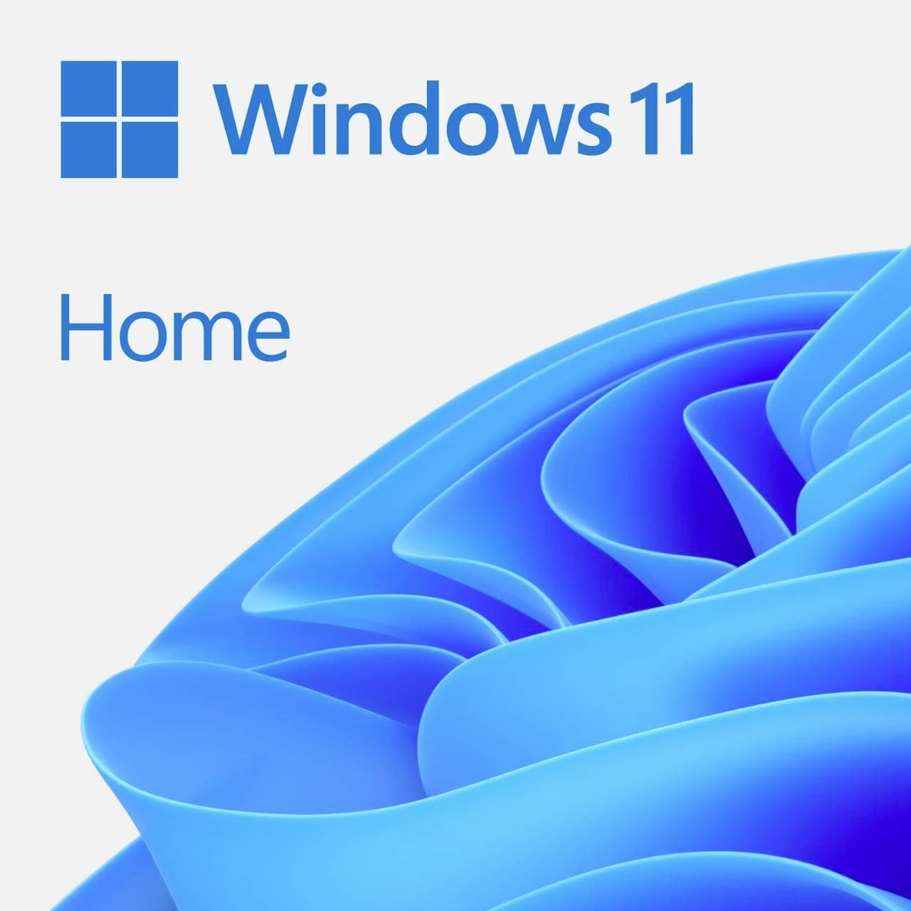 Windows 11 Home 64bit Dsp 1pk Niederländisch Dvd