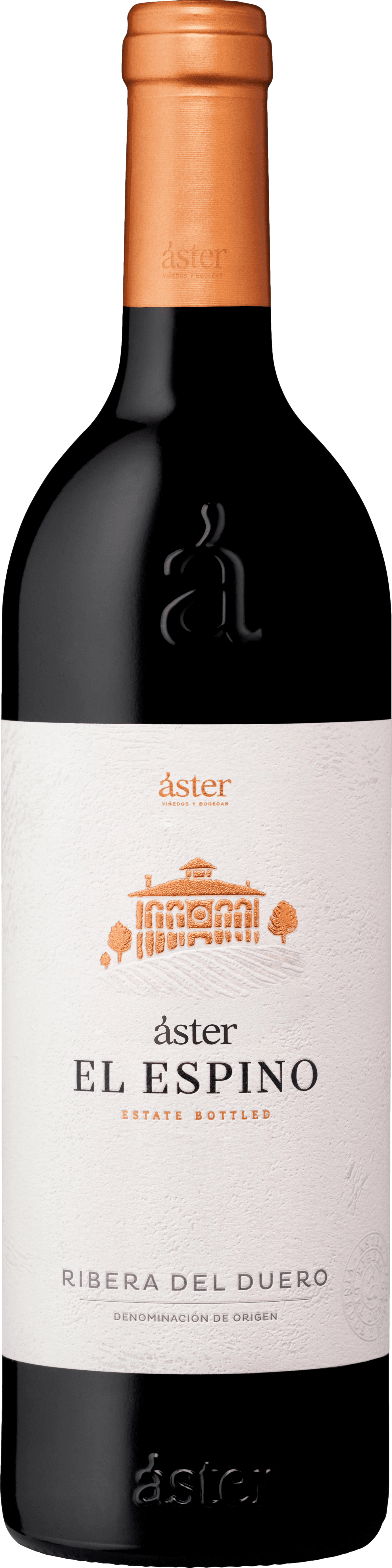 Aster El Espino 2021