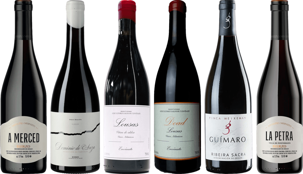 Mencia Premium Verkostungsset