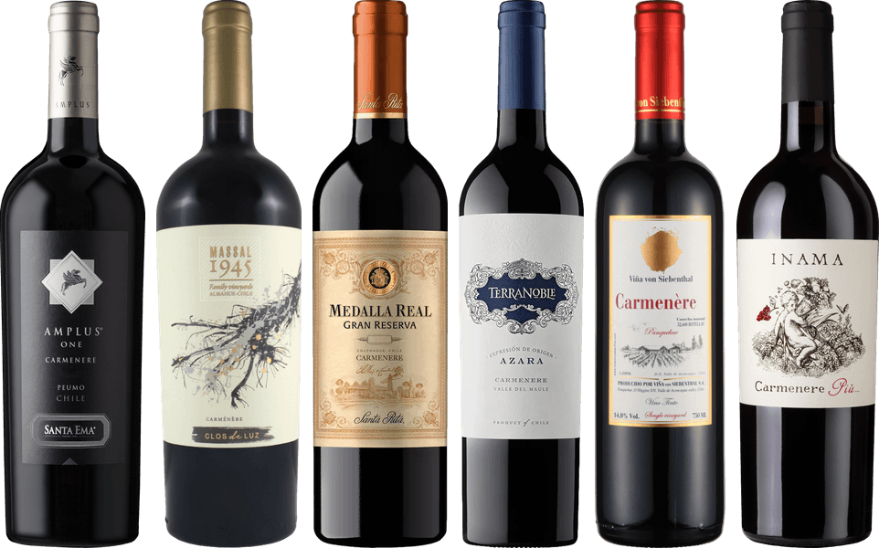 Carmenere Verkostungsset