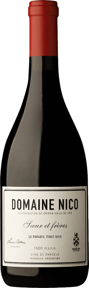 Domaine Nico Le Paradis Pinot Noir 2020