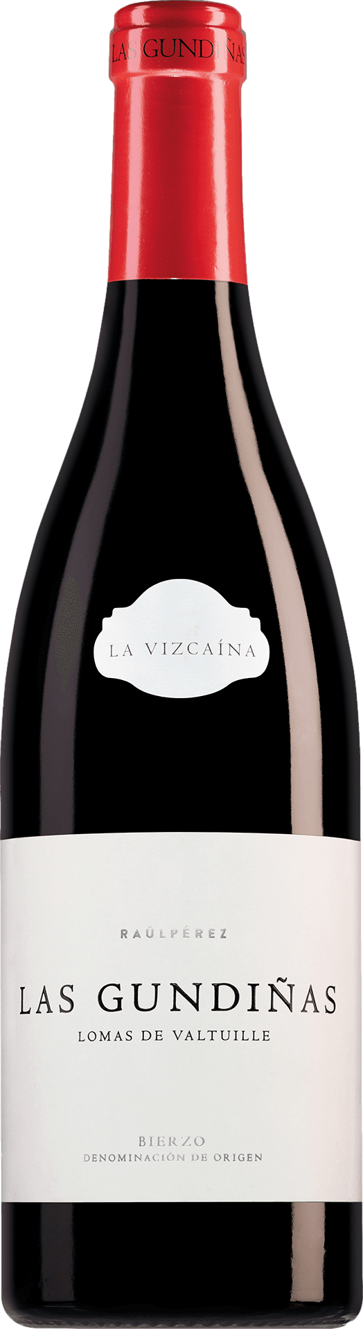 Raul Perez La Vizcaina Las Gundinas Mencia 2023