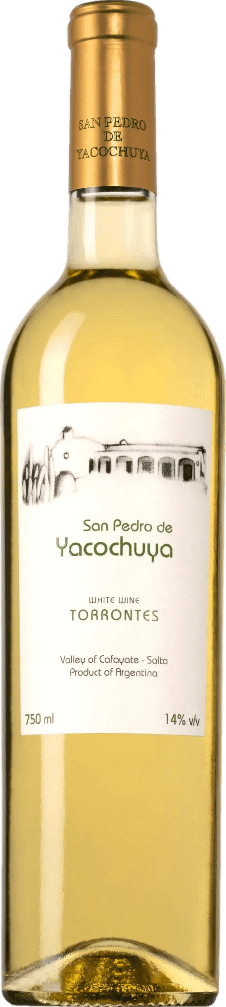 San Pedro De Yacochuya Torrontes 2024