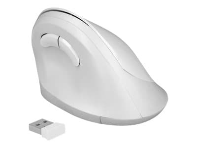 Delock 12596 Mouse