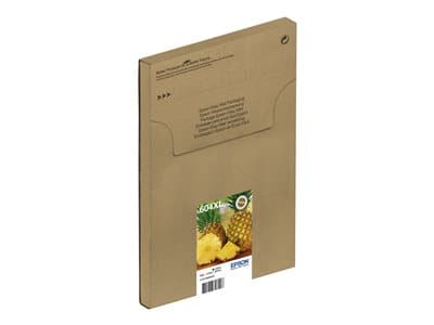 Epson 1lb Multipack 4colours 604xl