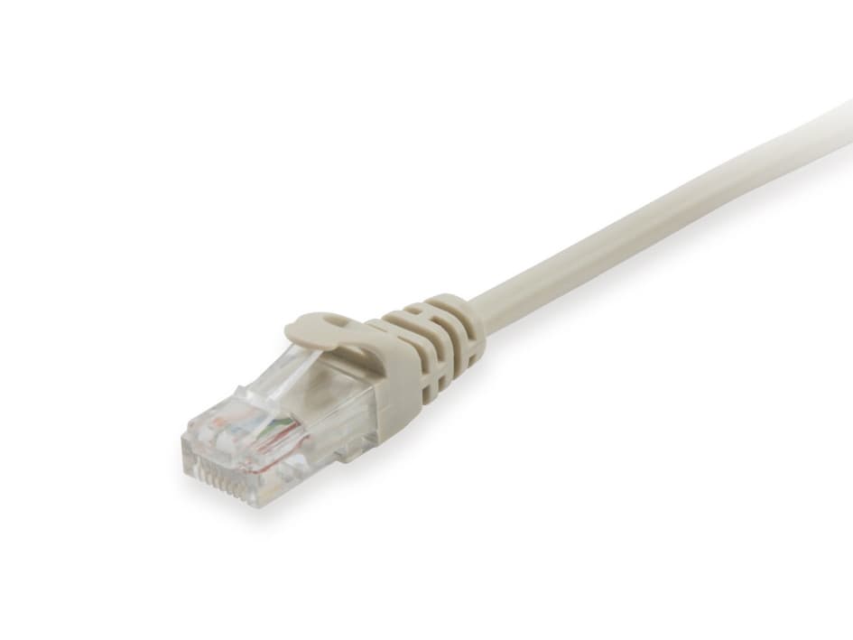 Equip Patchkabel Cat6a U/Utp 2xrj45 1.50m Beige Lszh Polybeutel