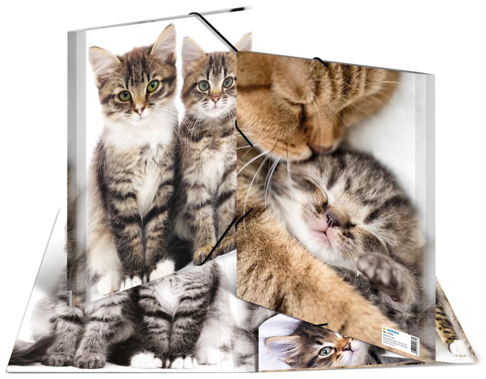 Herma Eckspannermappe , Katzen, , Aus Pp, Din A4