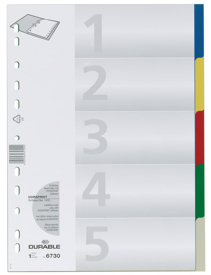 Durable Kunststoff-Register, A4, Pp, 5-Teilig
