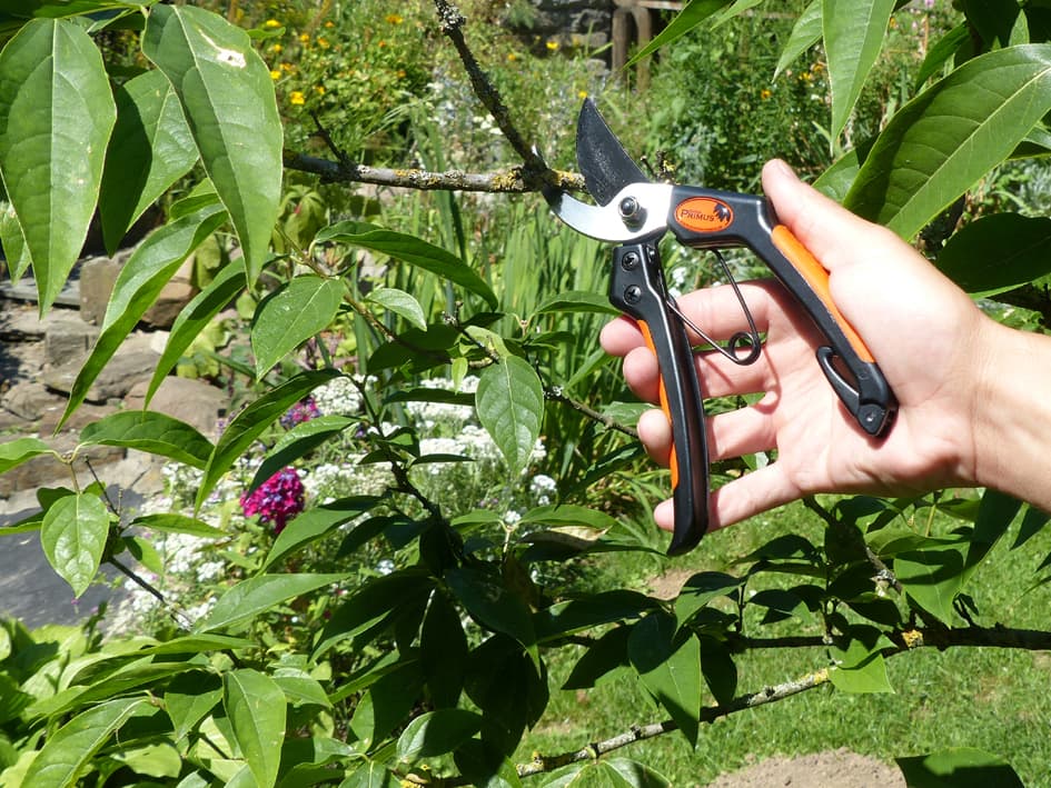 Garten Primus Herren-Gartenschere, Länge: 205 Mm