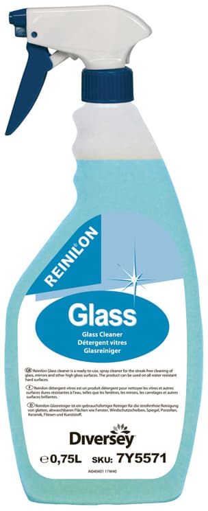 Reinilon Glasreiniger, 750 Ml Sprühflasche