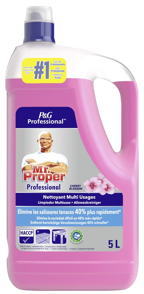 P&G Professional Meister Proper Allzweckreiniger, 5 L, Ocean