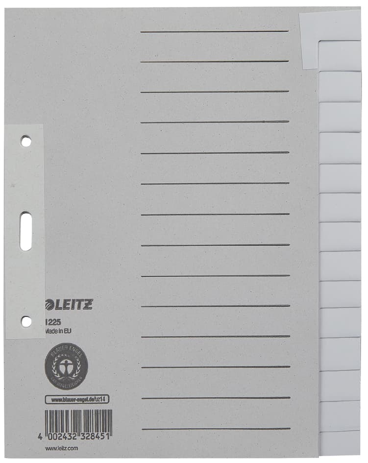 Leitz Tauenpapier-Register, Blanko, A5, 15-Teilig, Grau