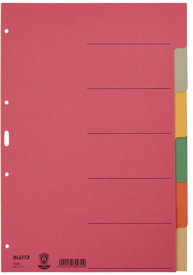 Leitz Karton-Register Extrastark, Blanko, A4, 6-Teilig